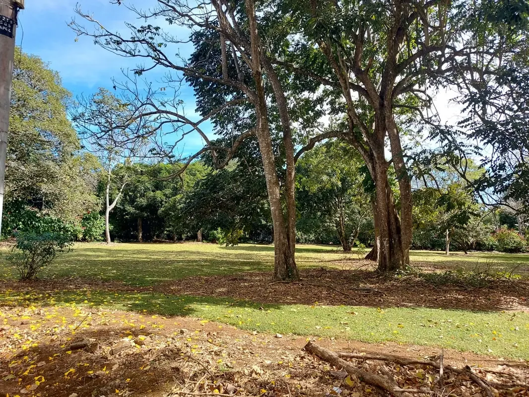 Lot for Sale in Naranjo – Flat 5,000 m² (1.23 Acres) — photo 2