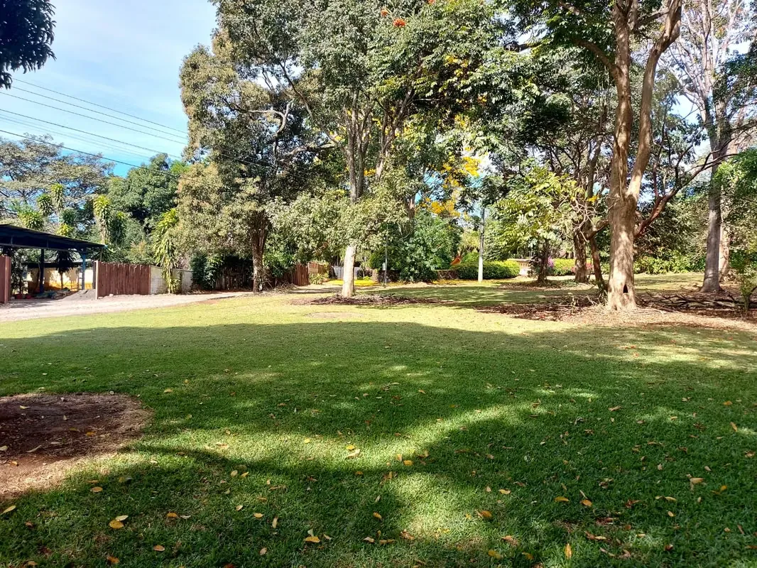 Lot for Sale in Naranjo – Flat 5,000 m² (1.23 Acres) — photo 3