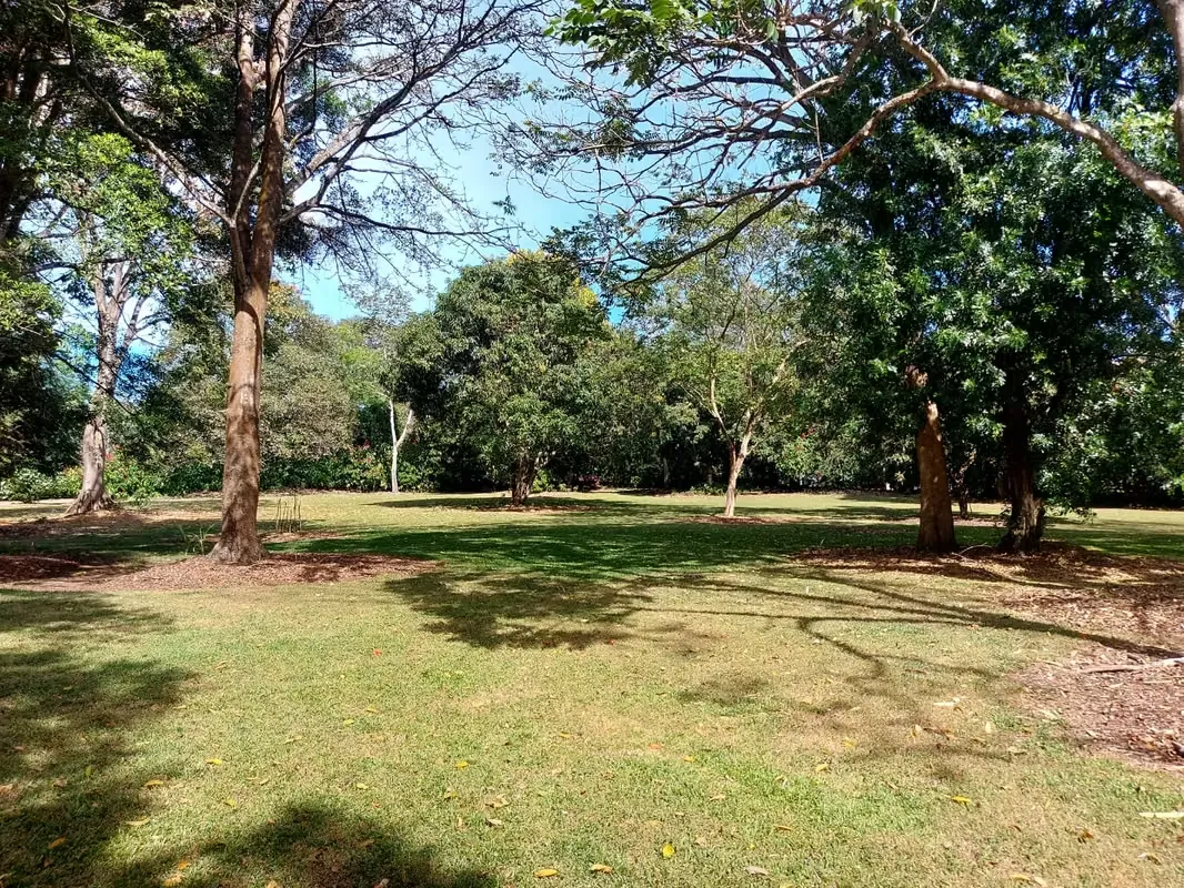 Lot for Sale in Naranjo – Flat 5,000 m² (1.23 Acres) — photo 4