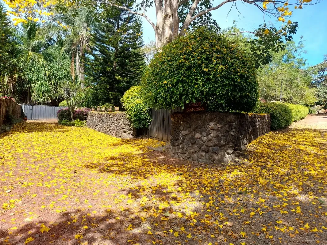 Lot for Sale in Naranjo – Flat 5,000 m² (1.23 Acres) — photo 5