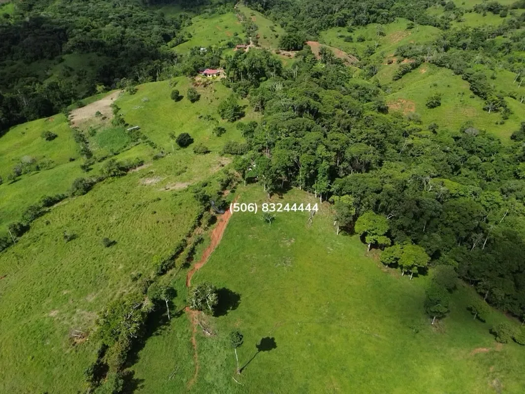 PROPERTY FOR SALE IN PÉREZ ZELEDÓN