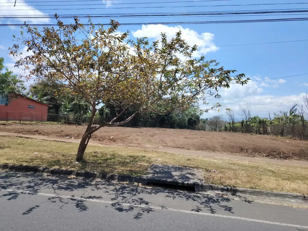 EN VENTA – LOTE EN SANTO DOMINGO - HEREDIA