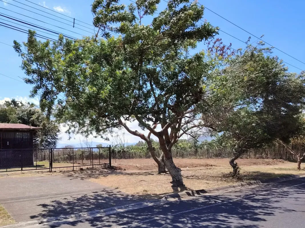 EN VENTA – LOTE EN SANTO DOMINGO - HEREDIA — photo 4