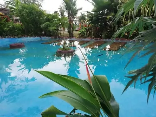 VENTA AGUAS TERMALES SAN CARLOS  20.000 m2