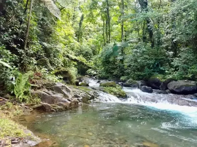 Ubicada en Guayabo de Bagaces con el plus de tener aguas termales ... — photo 2