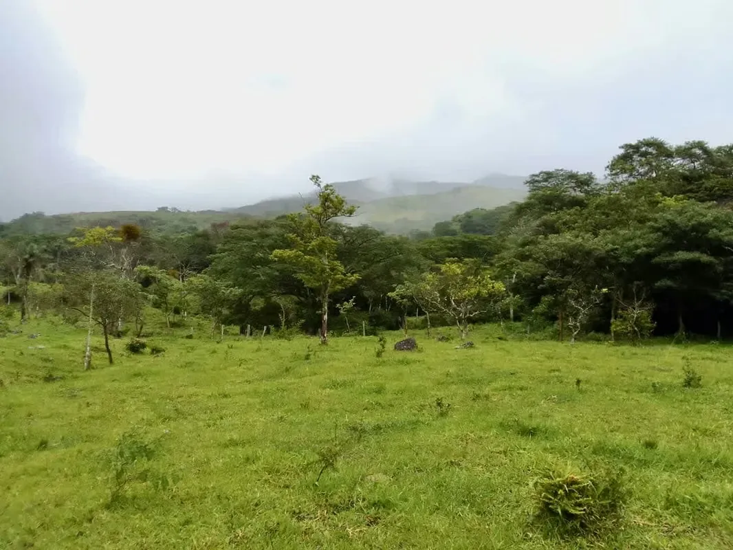 Ubicada en Guayabo de Bagaces con el plus de tener aguas termales ... — photo 4