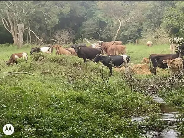 Ubicada en Guayabo de Bagaces con el plus de tener aguas termales ... — photo 5