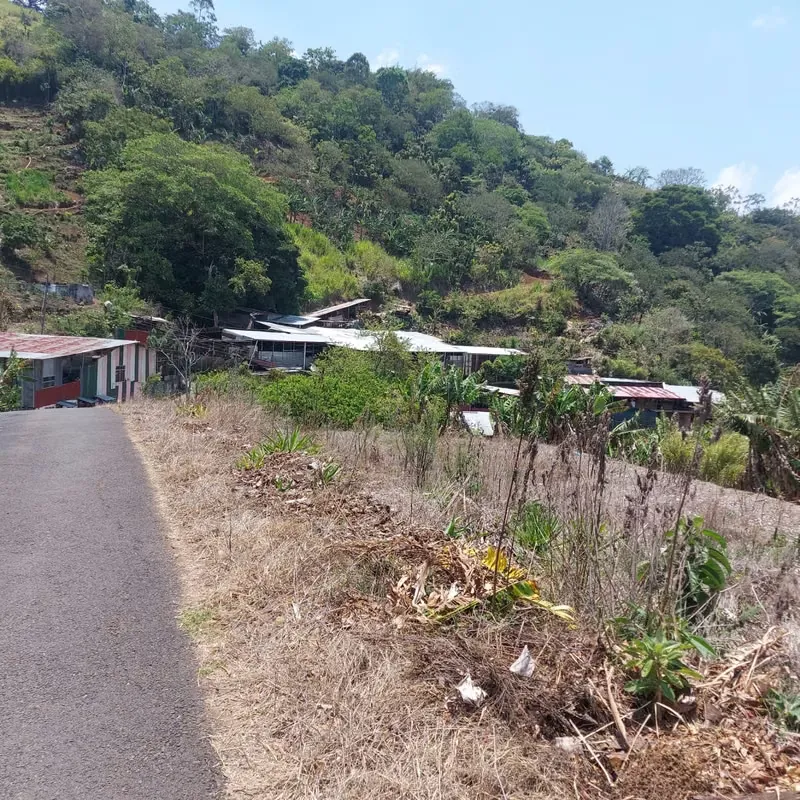 Lot for Sale in Palmares – 4,688 m² with House to Restore and Beautiful Views — photo 2