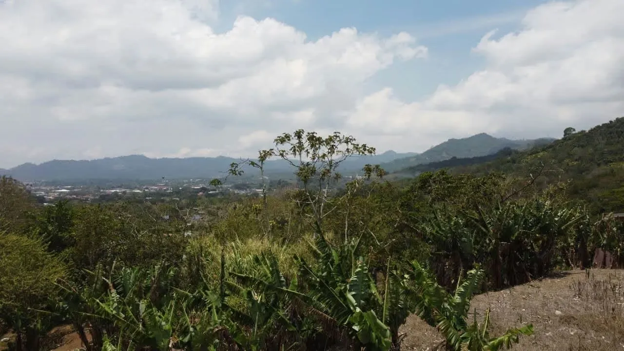 Lot for Sale in Palmares – 4,688 m² with House to Restore and Beautiful Views — photo 3