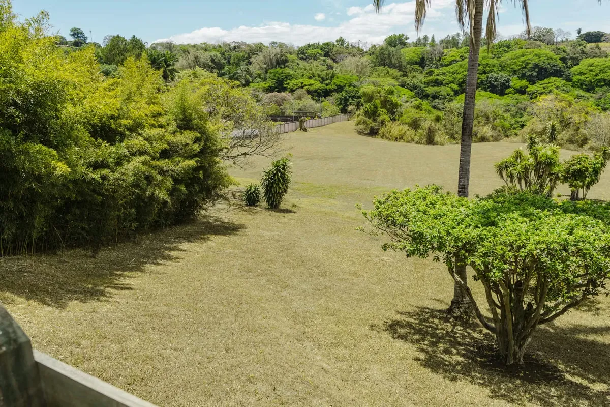 Property for Sale in Grecia, Alajuela