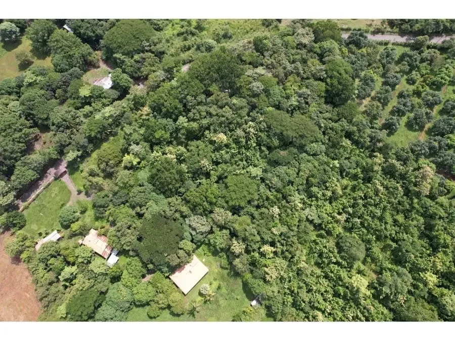 Farm for Sale in Orotina