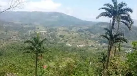 Lots of land at a great price! Lot with beautiful mountain views in Tucurrique, Cartago. Excellent for agriculture and livestock.