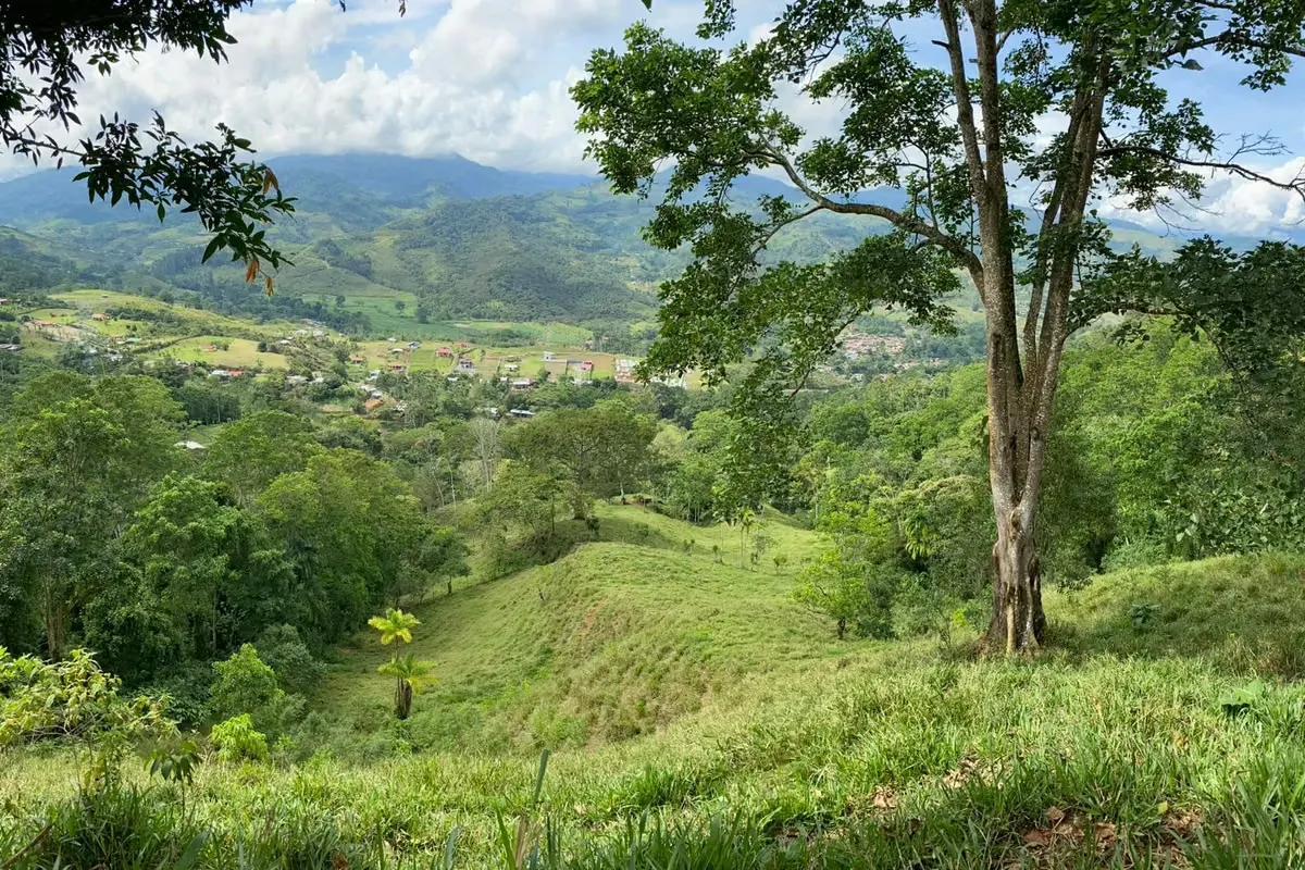 Finca de 28 hectáreas en Turrialba (4 millones CRC por hectárea)