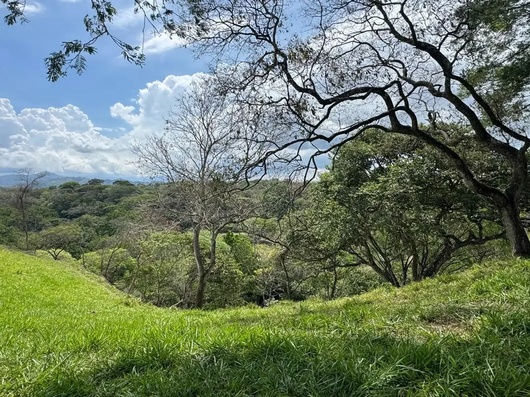 VENTA DE FINCA EN SAN MIGUEL DE TURRUCARES DE ALAJUELA COSTA RICA