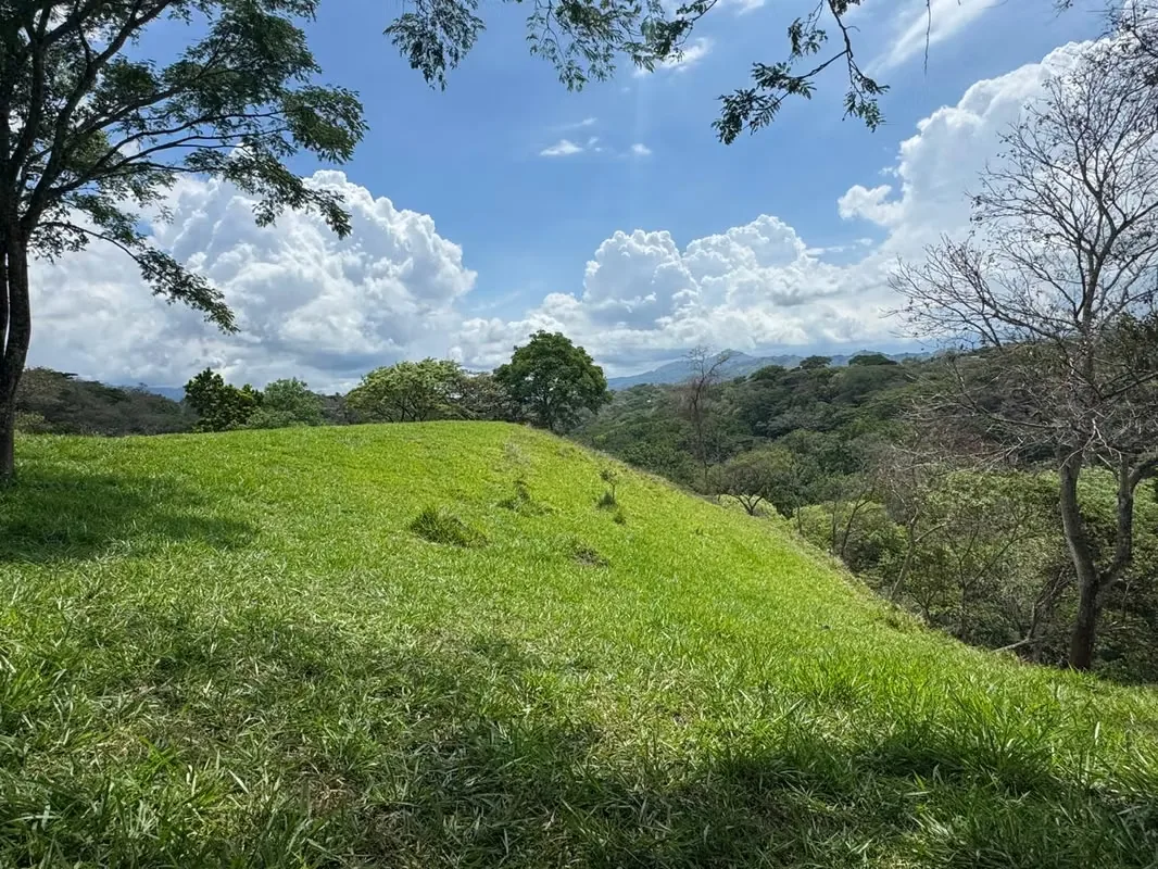 VENTA DE FINCA EN SAN MIGUEL DE TURRUCARES DE ALAJUELA COSTA RICA — photo 2