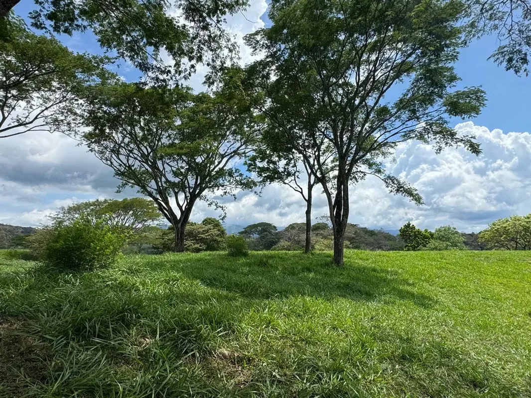 VENTA DE FINCA EN SAN MIGUEL DE TURRUCARES DE ALAJUELA COSTA RICA — photo 3