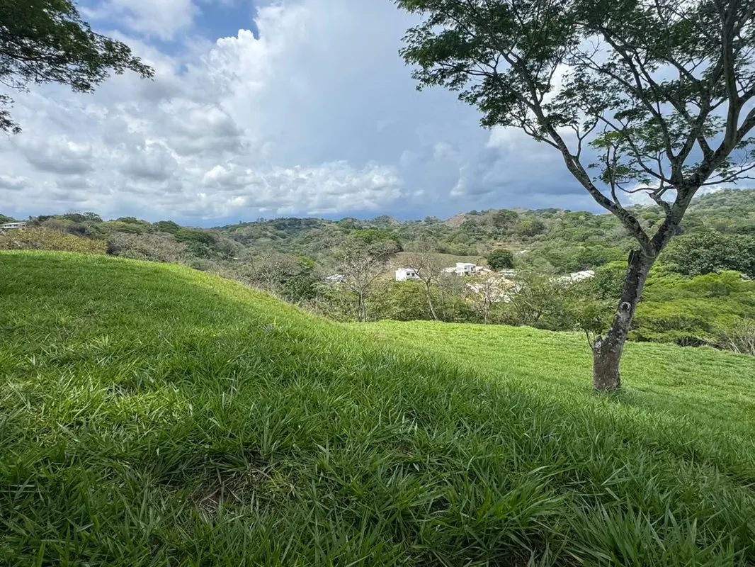 VENTA DE FINCA EN SAN MIGUEL DE TURRUCARES DE ALAJUELA COSTA RICA — photo 4