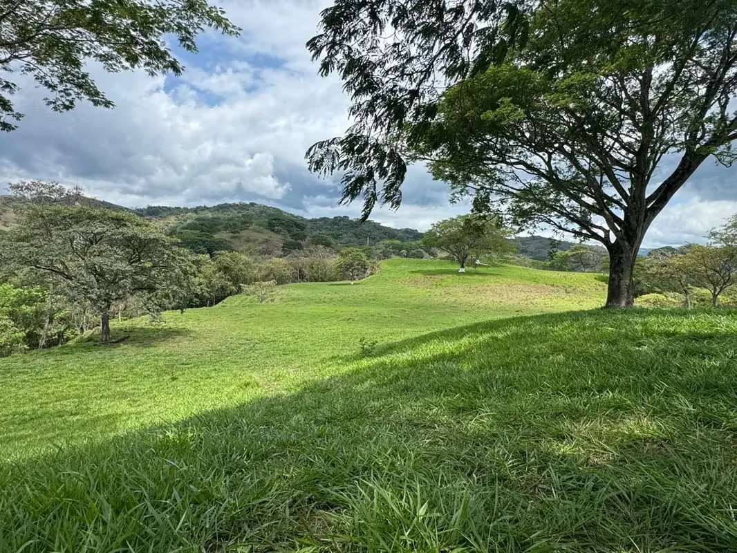 VENTA DE FINCA EN SAN MIGUEL DE TURRUCARES DE ALAJUELA COSTA RICA — photo 5