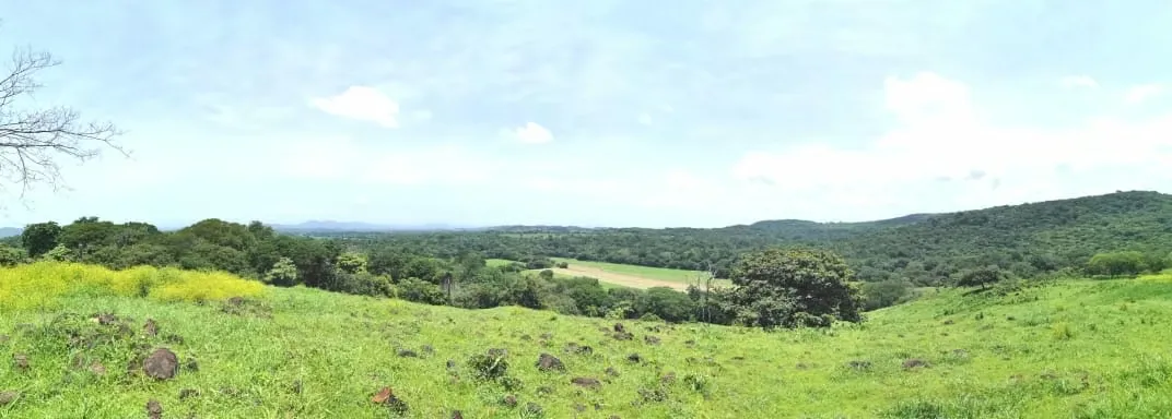 Farm for sale in Abangares, Guanacaste. Abundant water.