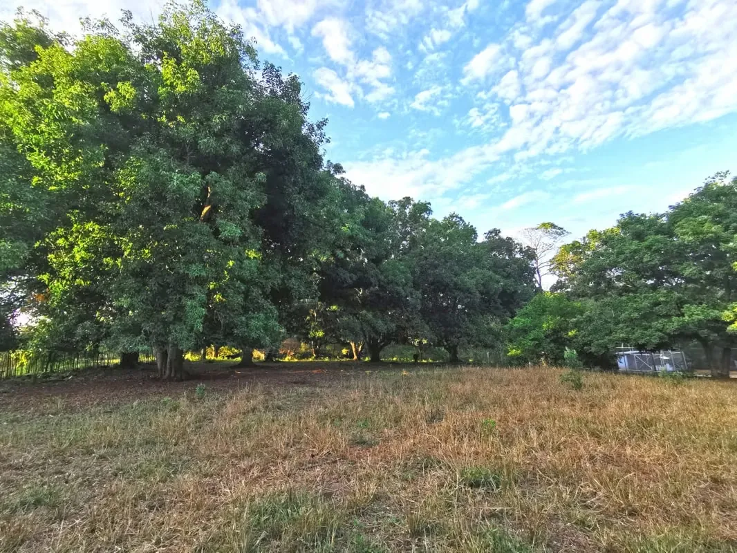 Venta de Lote en Orotina 9.644 m2 LISTO PARA CONSTRUIR.