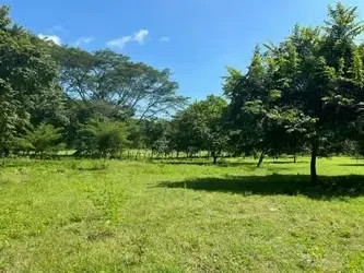 Venta finca Guanacaste Colorado Abangares FINANC