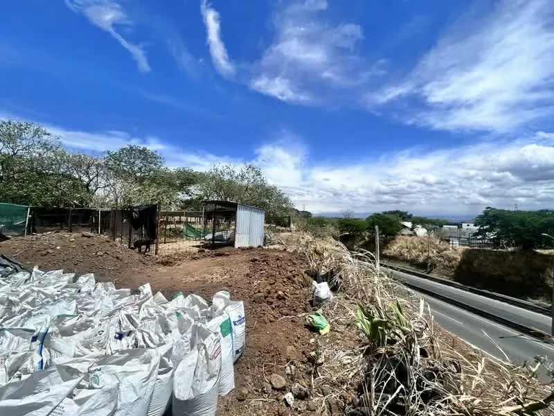 Development Land for Sale, Residential or Commercial Use, Guácima, HWY 27