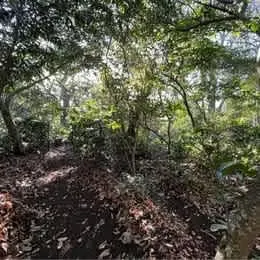 Terreno para Desarrollo inmobiliario en San Pablo de Heredia 4,669m2 (Excelente ubicación) — photo 2