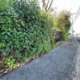 Terreno para Desarrollo inmobiliario en San Pablo de Heredia 4,669m2 (Excelente ubicación) — photo 5