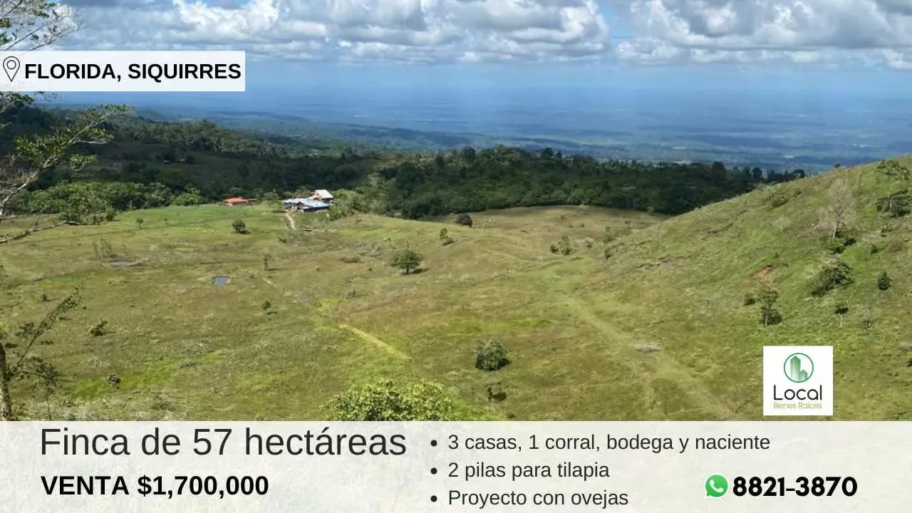 Finca en Siquirres con proyecto de ovejas y potencial para tilapias