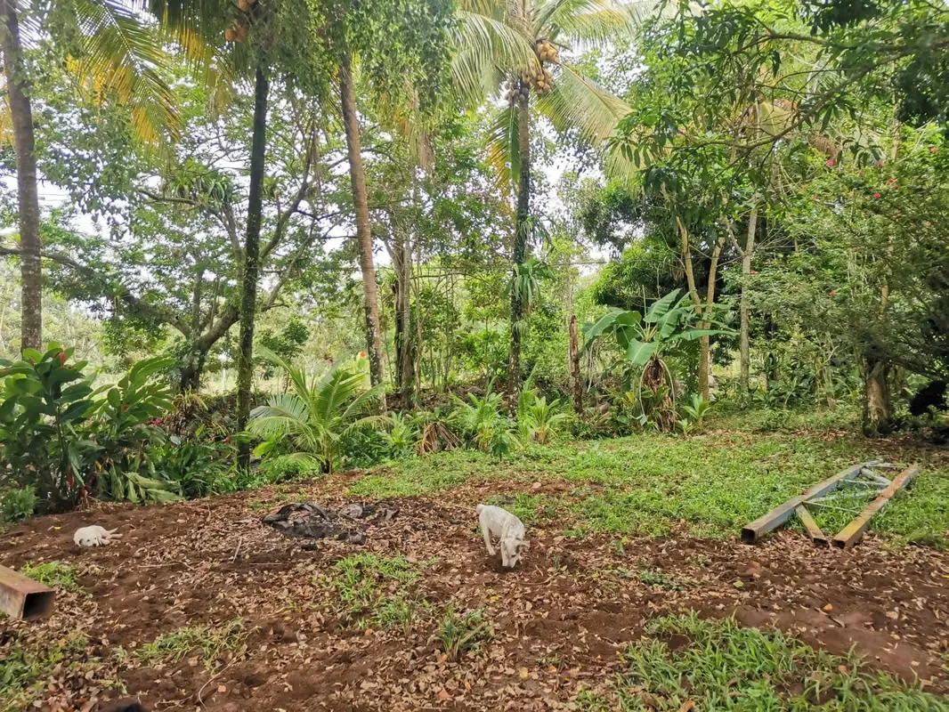 Casa en venta en Florencia, San Carlos, cerca de La Fortuna con riachuelo al frente