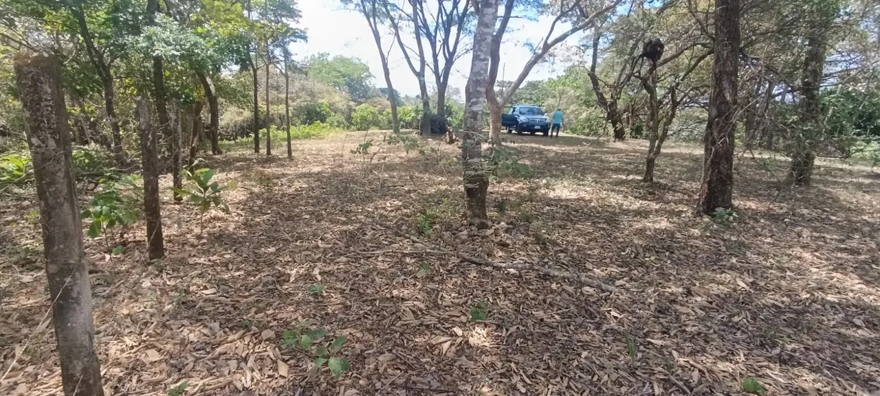Si estás buscando un terreno amplio, rodeado de naturaleza y con un entorno de paz absoluta, ...