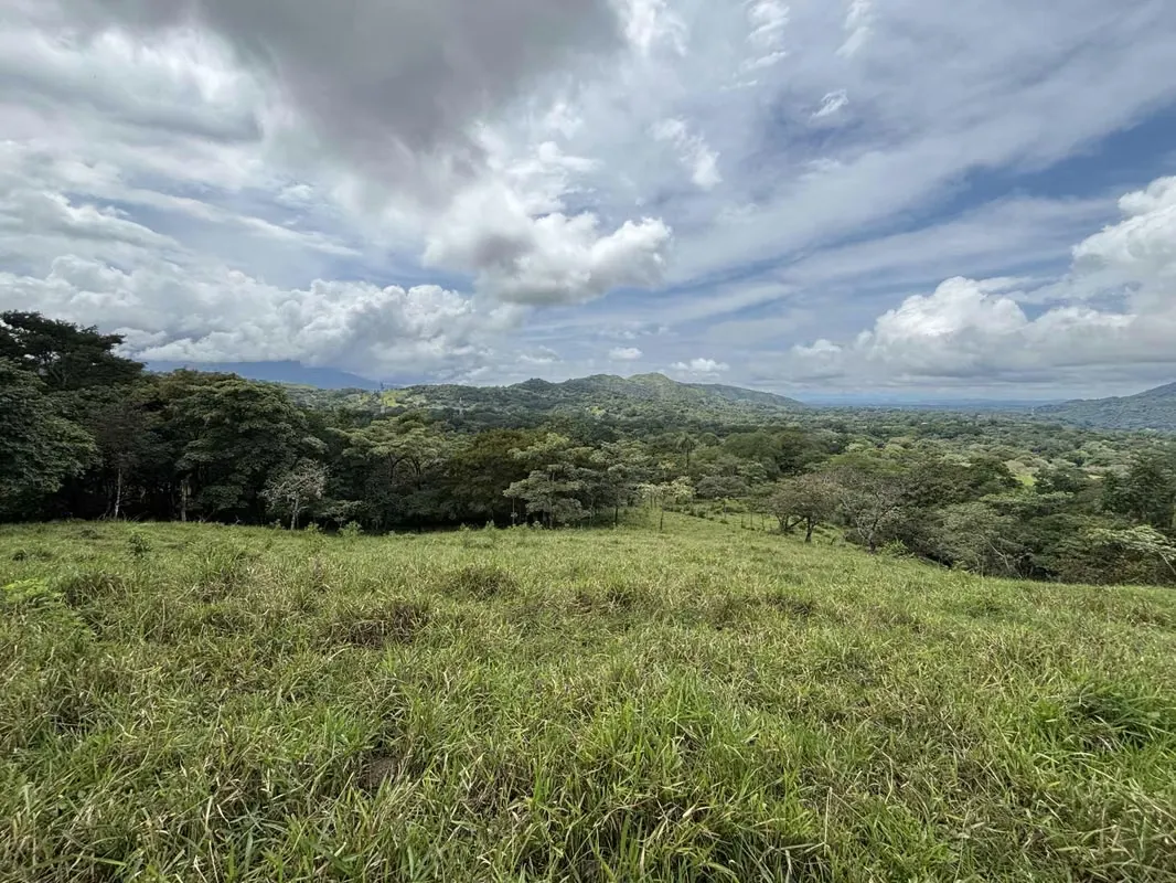 4.5 Hectares / Received / Spring / Ocean View / Near 27