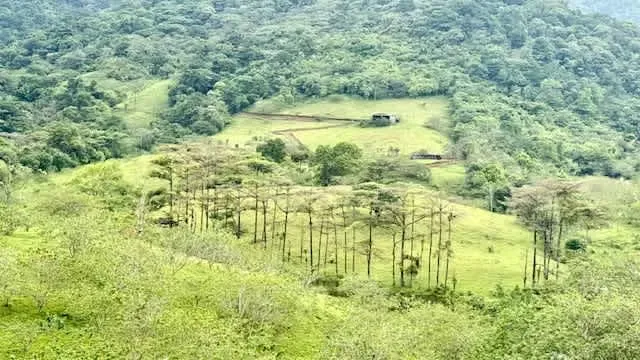 For sale farm San Ramon Los Angeles ideal project ecological