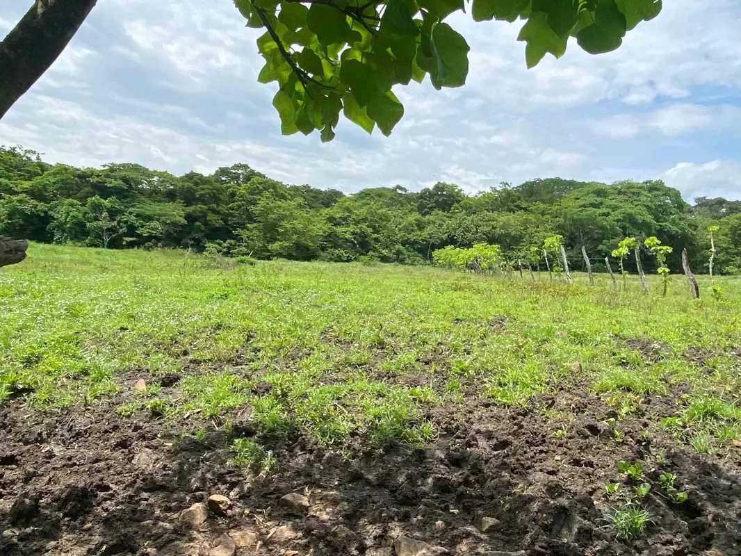Venta de terreno ubicado en balsilla de mora Atenas