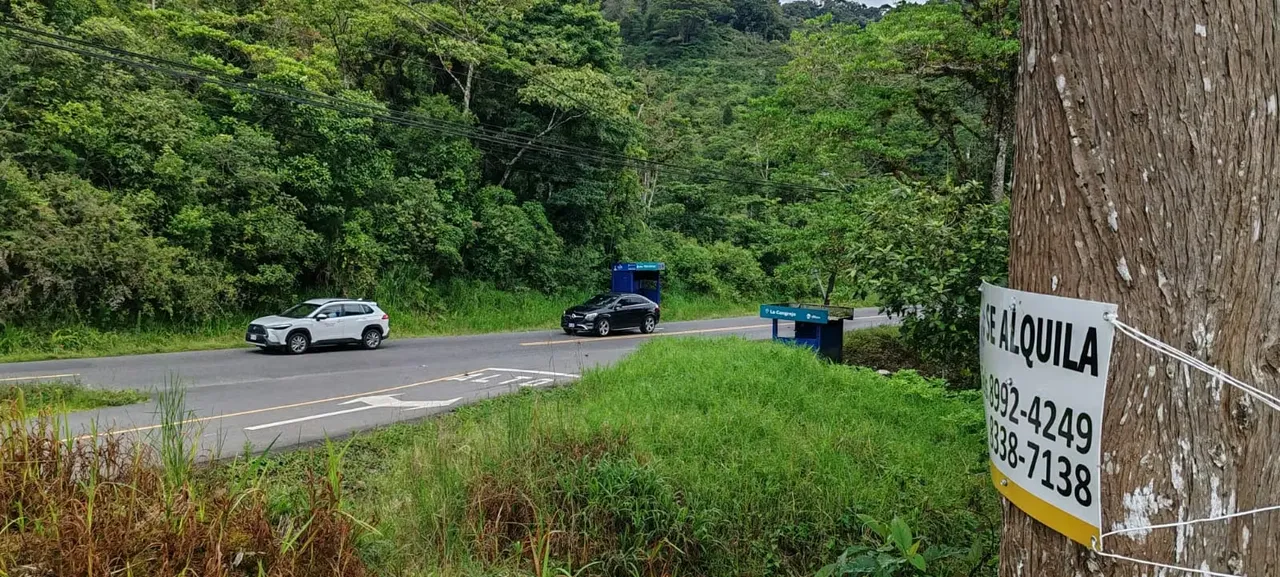 La Cangreja de El Guarco, se alquila predio a la entrada a La Estrella, sobre el cruce en la Interamericana. Acceso electricidad, agua potable e internet de banda ancha. — photo 3