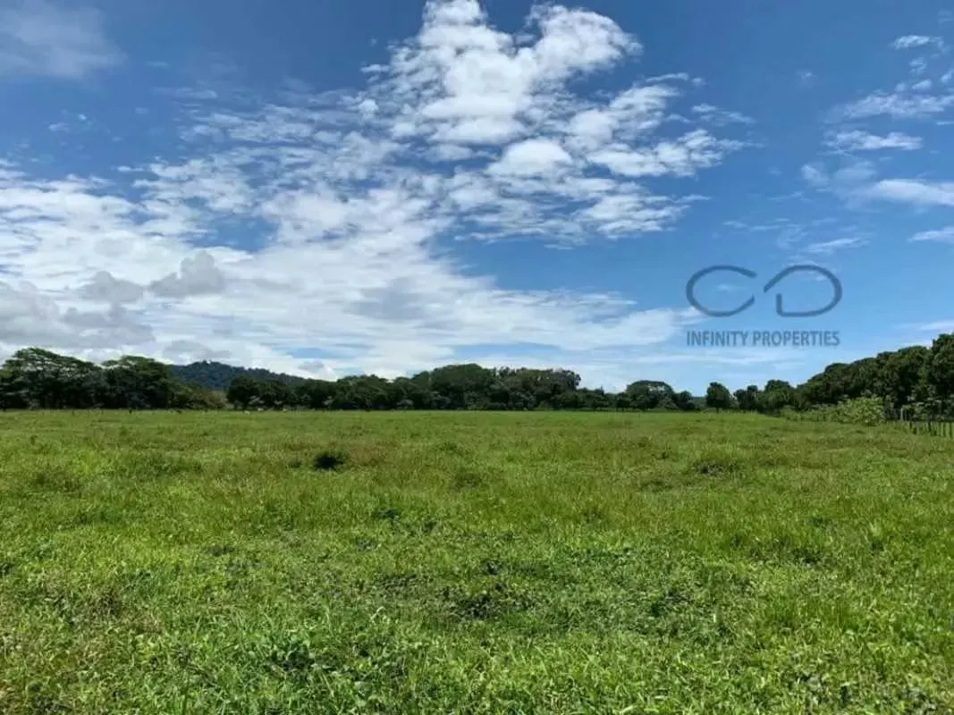 For Sale – Large 125,446 m² Lot in Quebrada Amarilla, Jacó, Puntarenas