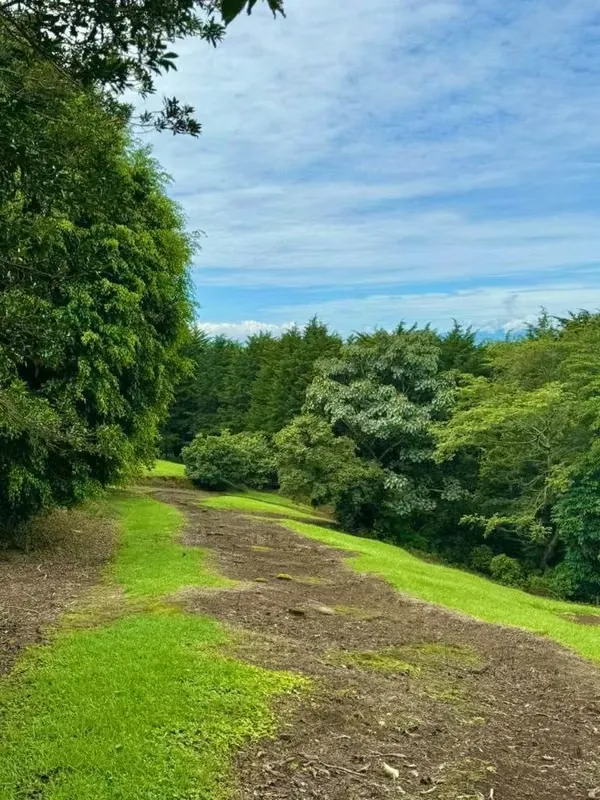 FOR SALE: AMAPOLA ESTATE IN SANTA BÁRBARA DE HEREDIA – 14,393.27m²