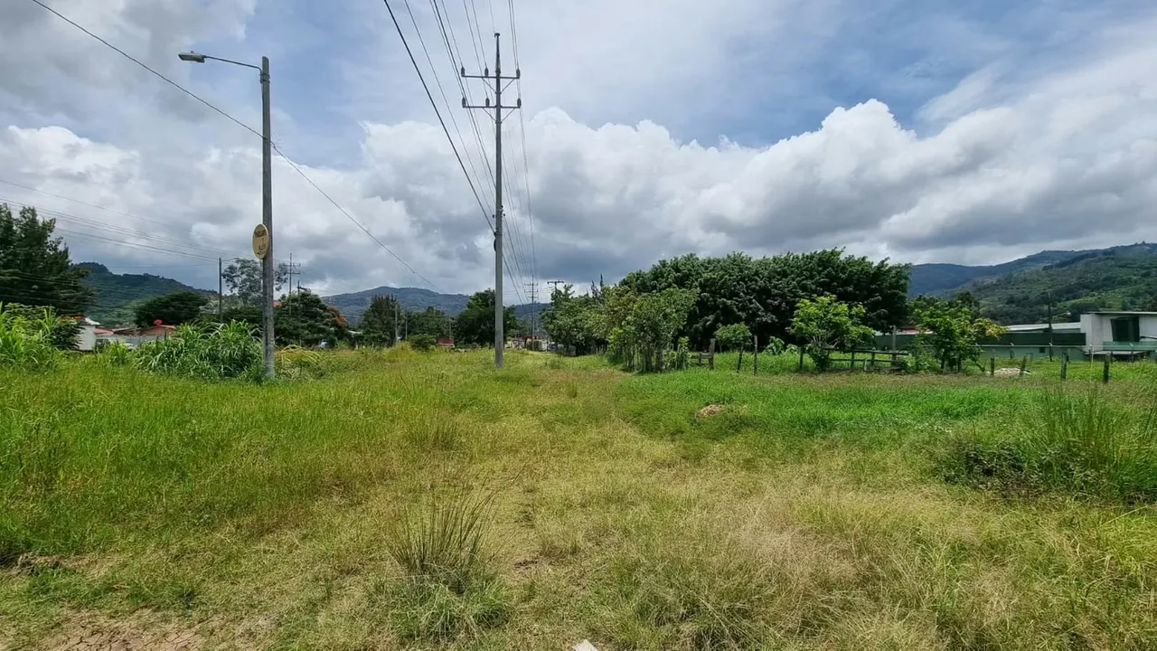 Land for Sale in Cartago Interamericana Sur 19534