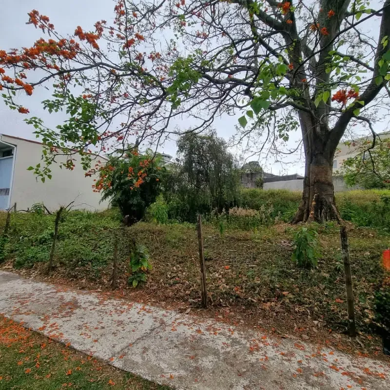 Land for sale in Pinares Curridabat 17708