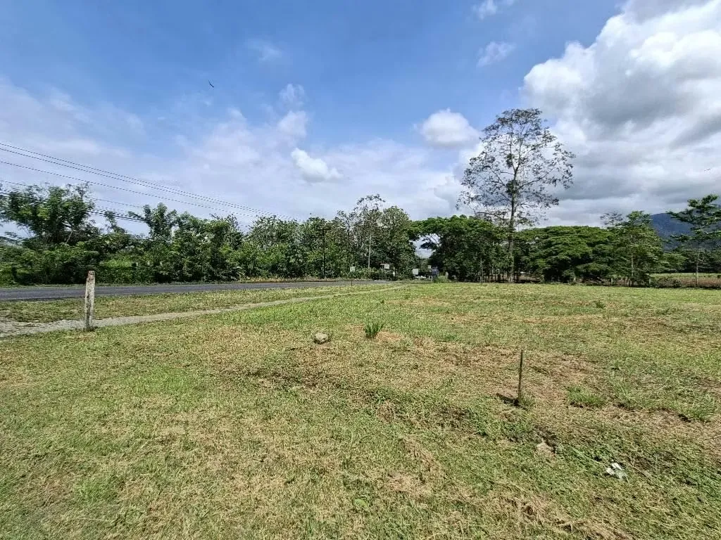 TERRENO EN VENTA CONDOMINIO CERCANIAS DE LA FORTUNA DE ARENAL., photo 2