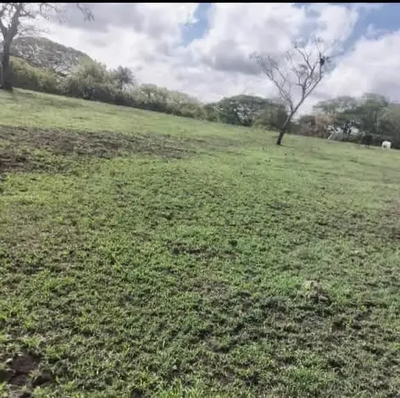Lot for sale Orotina Baron 16.300 sq mts 4 acres — photo 2