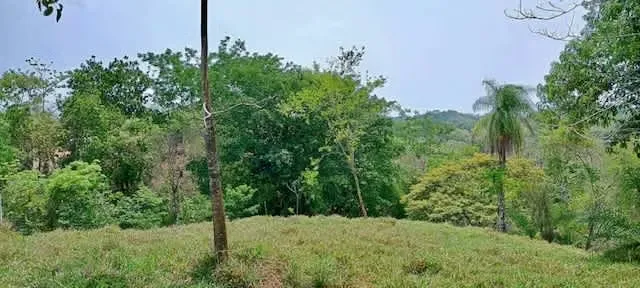 Lot for sale Orotina Baron 16.300 sq mts 4 acres — photo 3