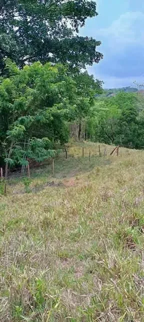 Lot for sale Orotina Baron 16.300 sq mts 4 acres — photo 4