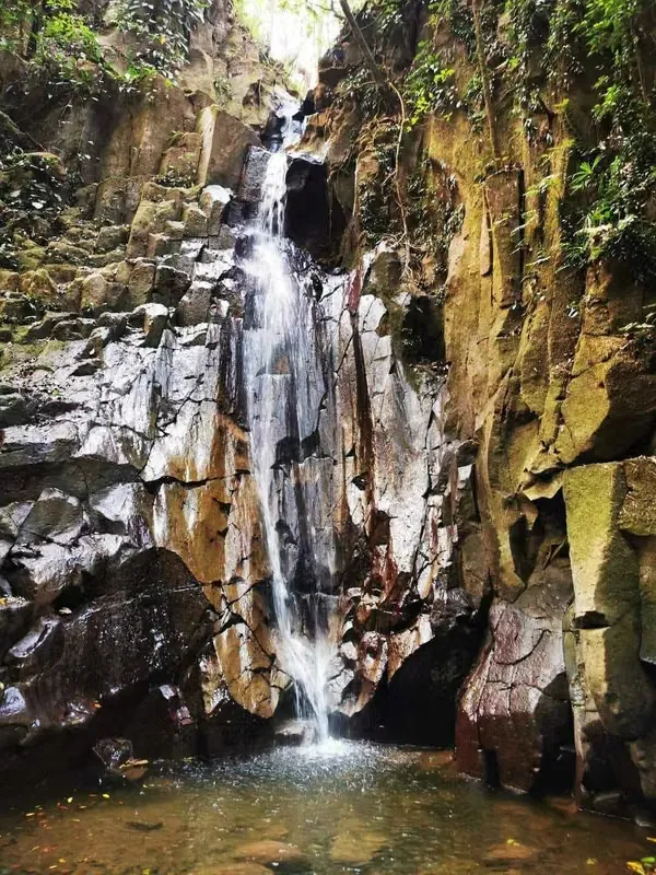 Finca con Piscina Natural y Cataratas Privadas en Piedras Negras