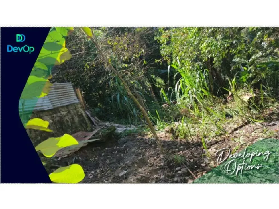 ¡SE VENDE LOTE EN TUCURRIQUE, JIMENEZ, CARTAGO!
