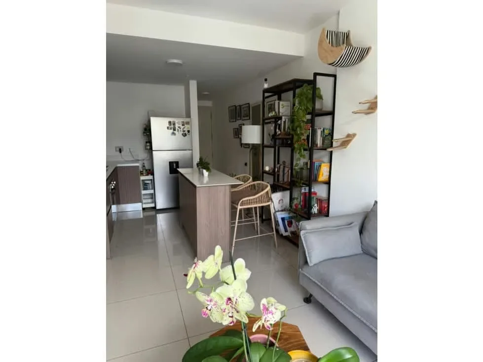 Excelente oportunidad de inversión o vivienda en una de las zonas más dinámicas y céntricas de San José. ... — photo 2