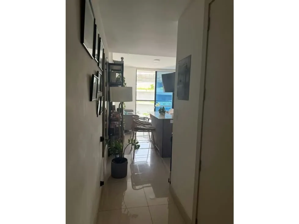 Excelente oportunidad de inversión o vivienda en una de las zonas más dinámicas y céntricas de San José. ... — photo 3