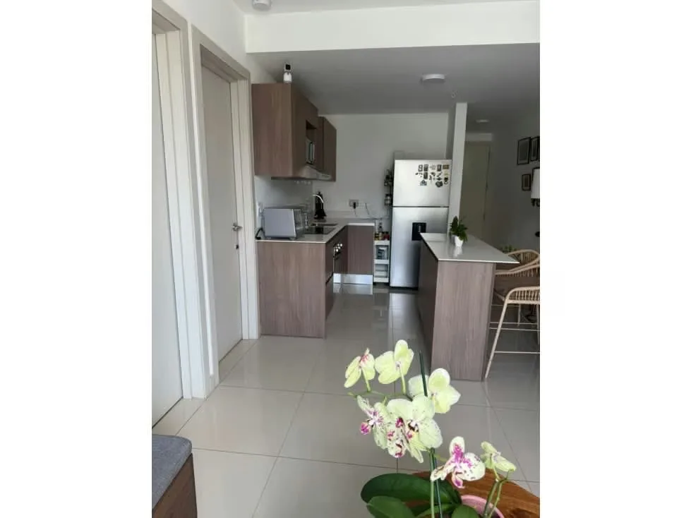 Excelente oportunidad de inversión o vivienda en una de las zonas más dinámicas y céntricas de San José. ... — photo 4