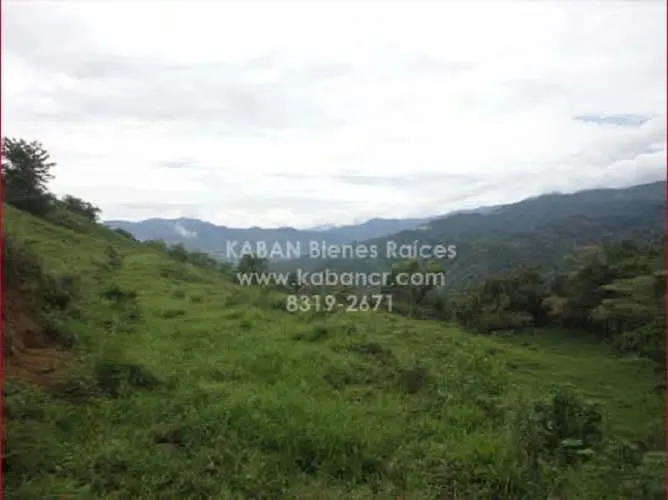 15 hectares with its own spring and potential for rural tourism, agriculture, or a mountain retreat, just minutes from Cartago.