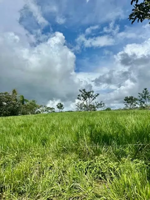 Venta finca San Carlos Cutris lechera puerta cerrada
